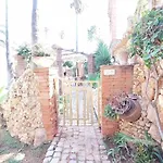Bora-bora * Pêra